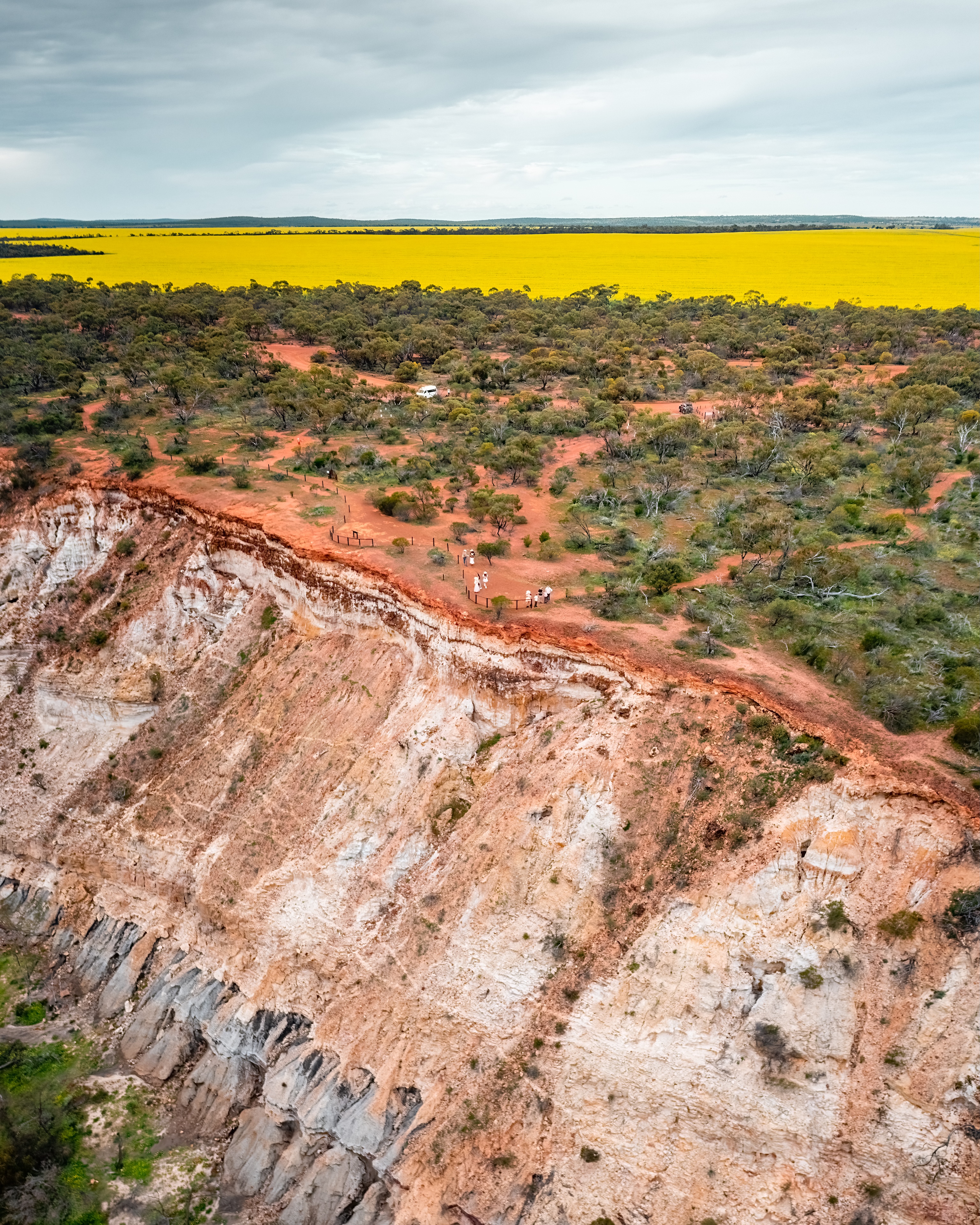 Best of the Mid West Full Day Wildflower Tour