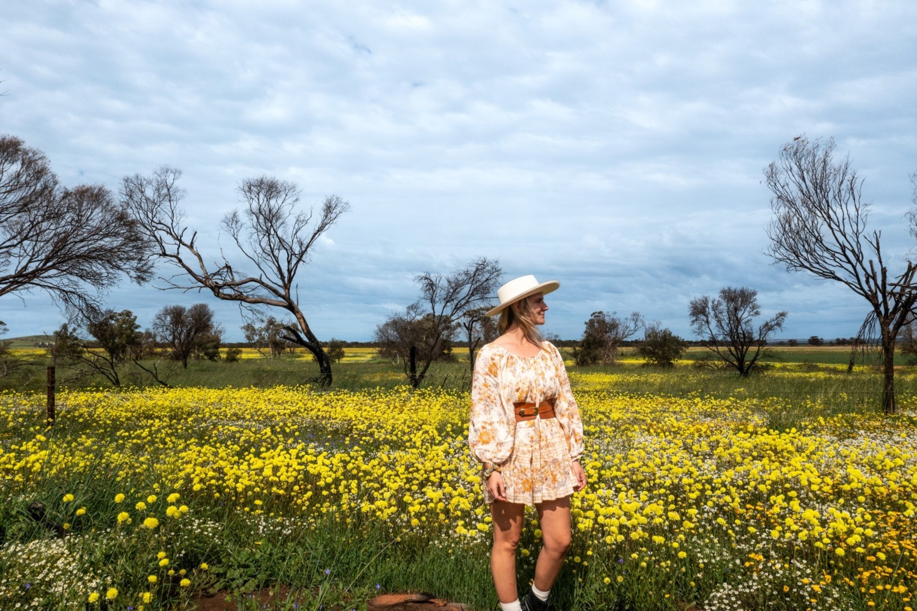 Best of the Mid West Full Day Wildflower Tour