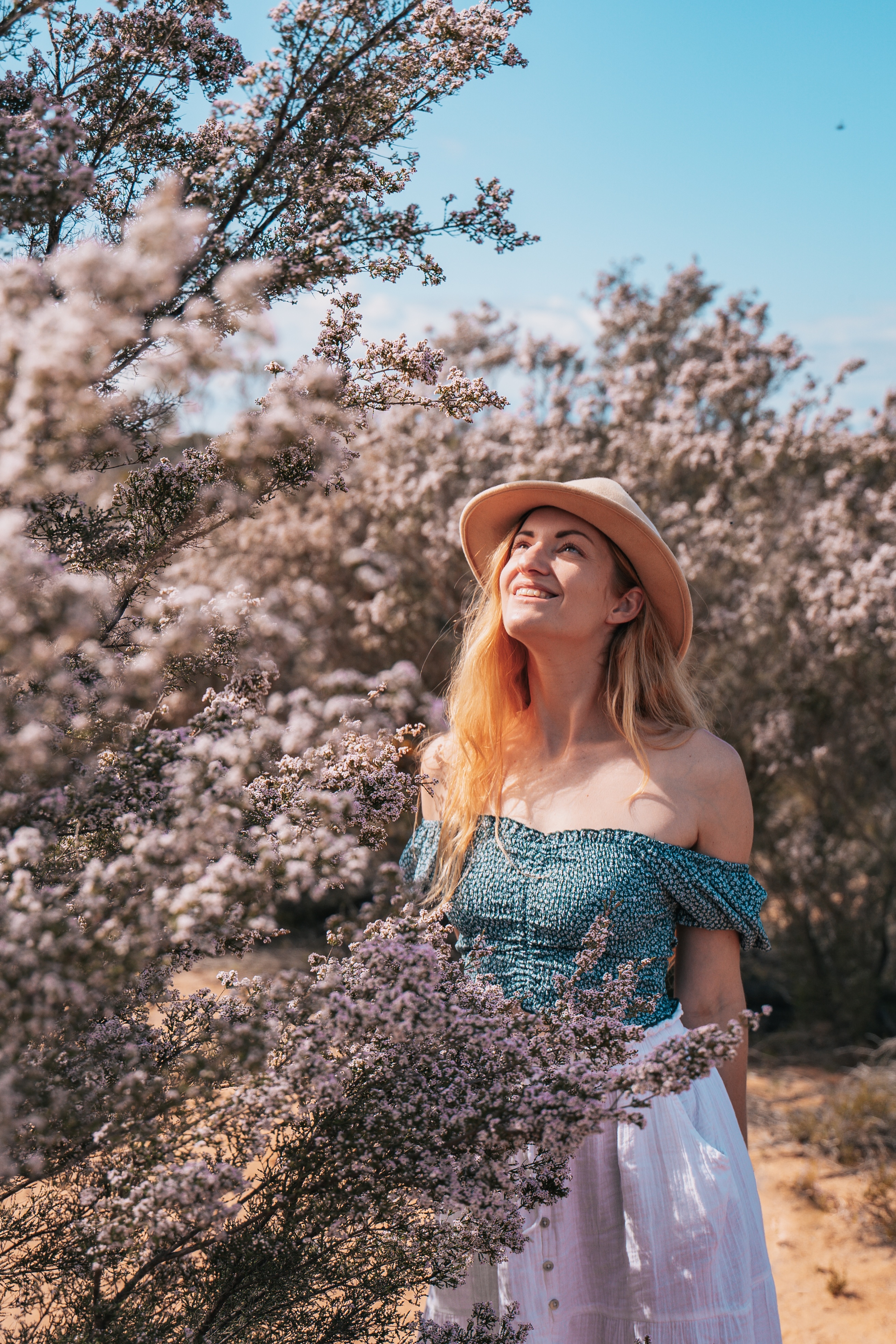 Best of the Mid West Full Day Wildflower Tour