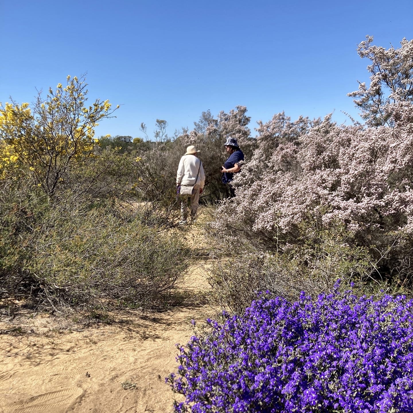Best of the Mid West Full Day Wildflower Tour