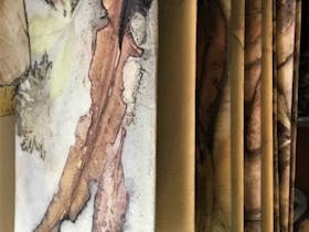 Open Art Studio's Tour