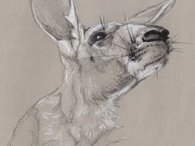 Open Art Studio's Tour