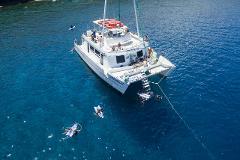 Maui Afternoon Snorkel