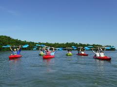 Estuary kayak tour