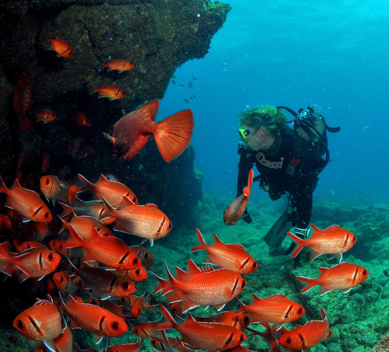 Discover Scuba Diving