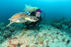 Try Scuba Diving - beach entry dive
