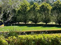 Southern Highlands Tour From Sydney with lunch