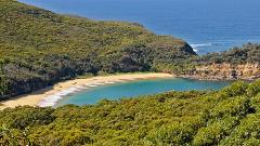 Terrigal & Bouddi National Park Tour From Sydney with lunch