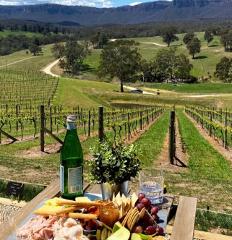 Private Blue Mountains Wine Tour (Day Tour 8:00am - 6:00pm).