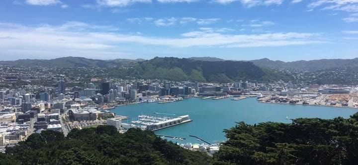 Combo Tour - The best of Wellington, South Wairarapa and the Kāpiti Coast (3 days)
