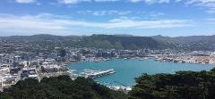Combo Tour - The best of Wellington, South Wairarapa and the Kapiti Coast (3 days)
