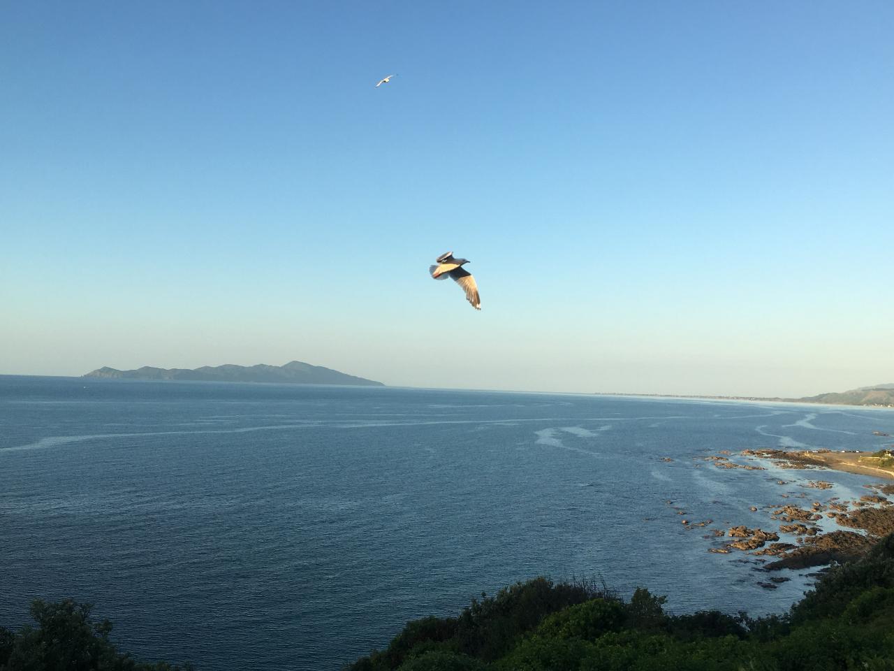 Scenic Kāpiti Coast Tour