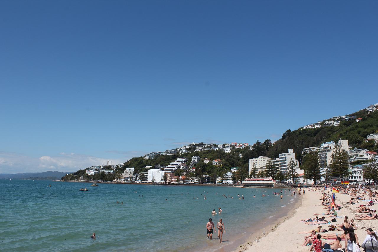 Wellington Scenic Half Day Tour