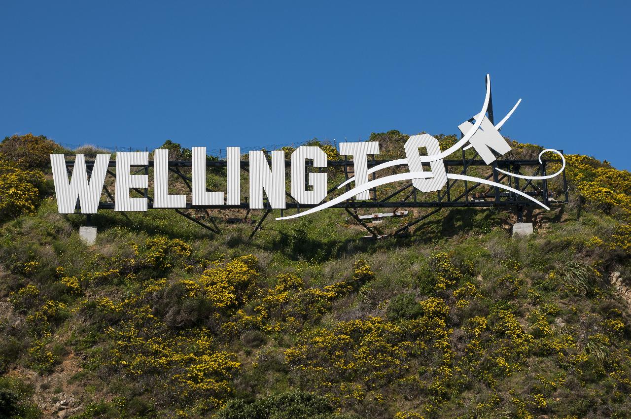 Airport Transfer - Wellington Airport (WLG)
