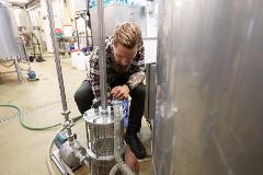 Wellington Craft Beer Tour