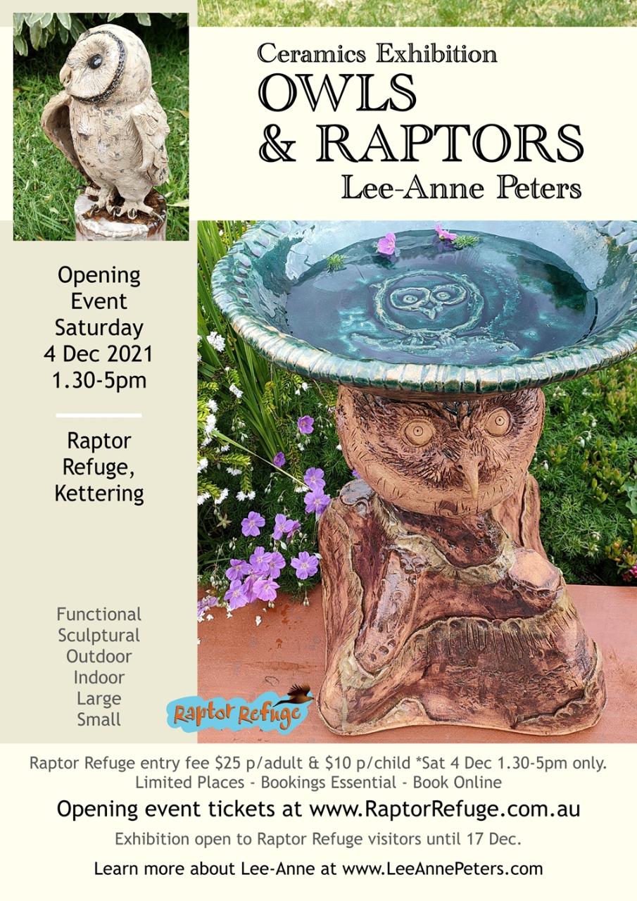 Owls and Raptors Ceramics Exhibition