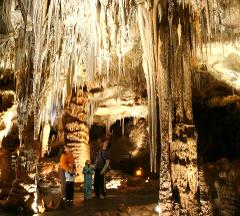 Tantanoola Cave Entry