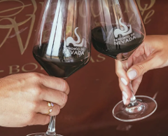 En smakresa till vinbodega Hacienda Señorío de Nevada i Alpujarra-regionen