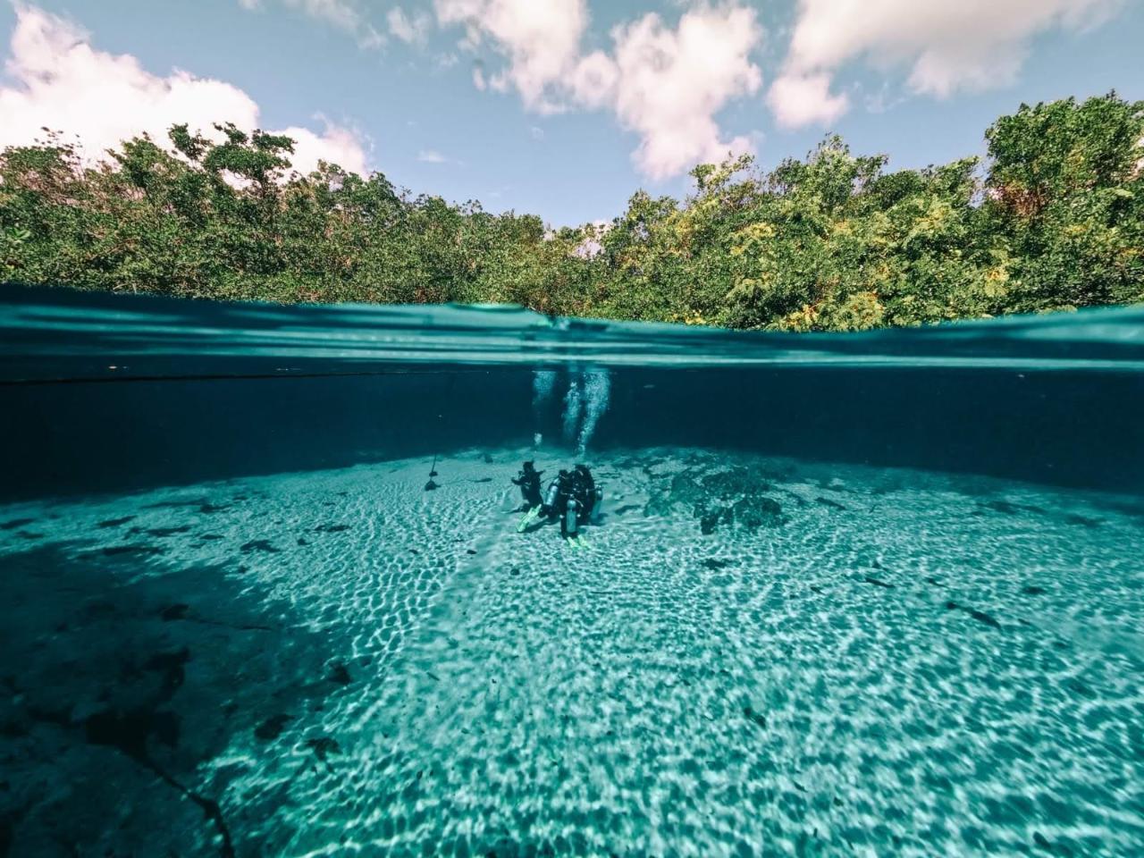 Casa Cenote dos ojos