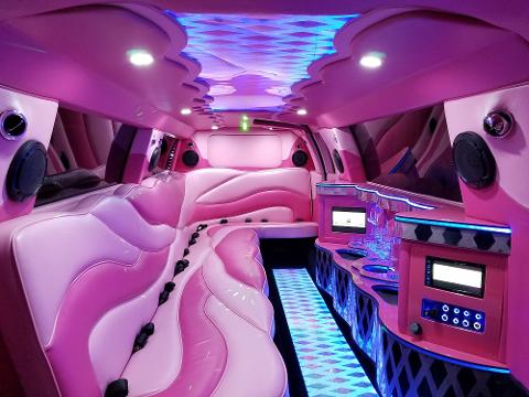 PINK VOLKSWAGEN LIMO WINE TOUR (PRIVATE) - Brooke's Bubble Bus Reservations