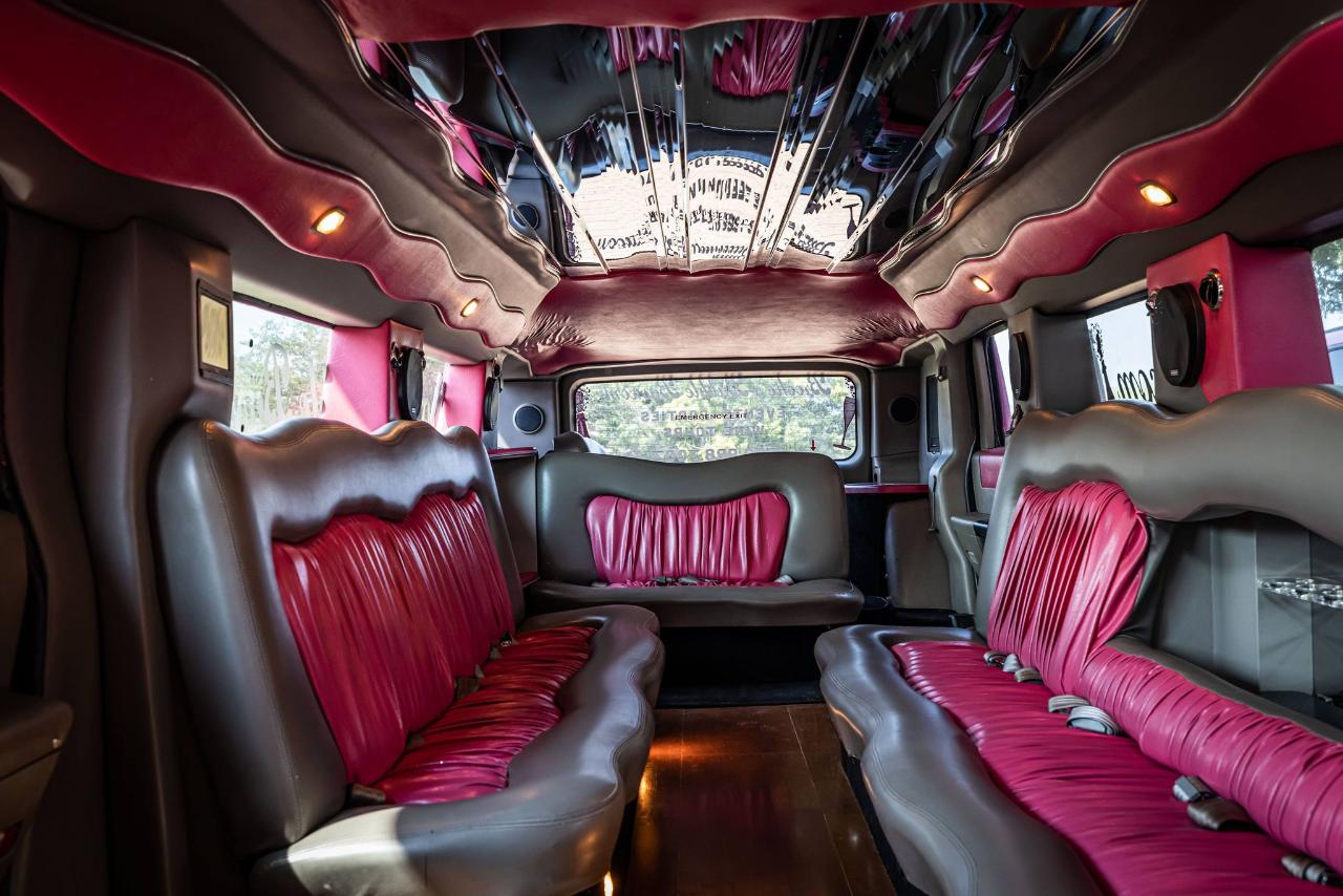 PINK HUMMER LIMO Wine Tour (PRIVATE) - Brooke's Bubble Bus Reservations