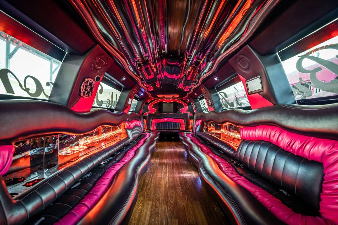 PINK ESCALADE LIMO Wine Tour (PRIVATE) Brooke's Bubble Bus Reservations