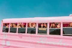 PINK PARTY SCHOOL BUS Wine Tour (PRIVATE)