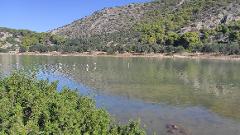 Aponissos  Beach of Agistri island