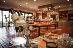 Virtual Bee School - School Experience 