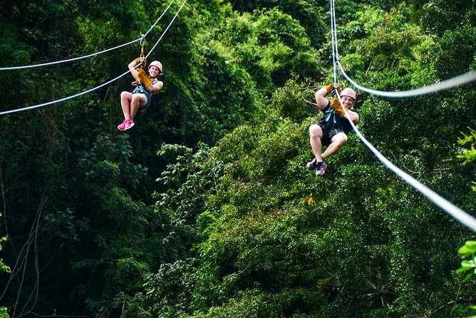 Canopy Zipline