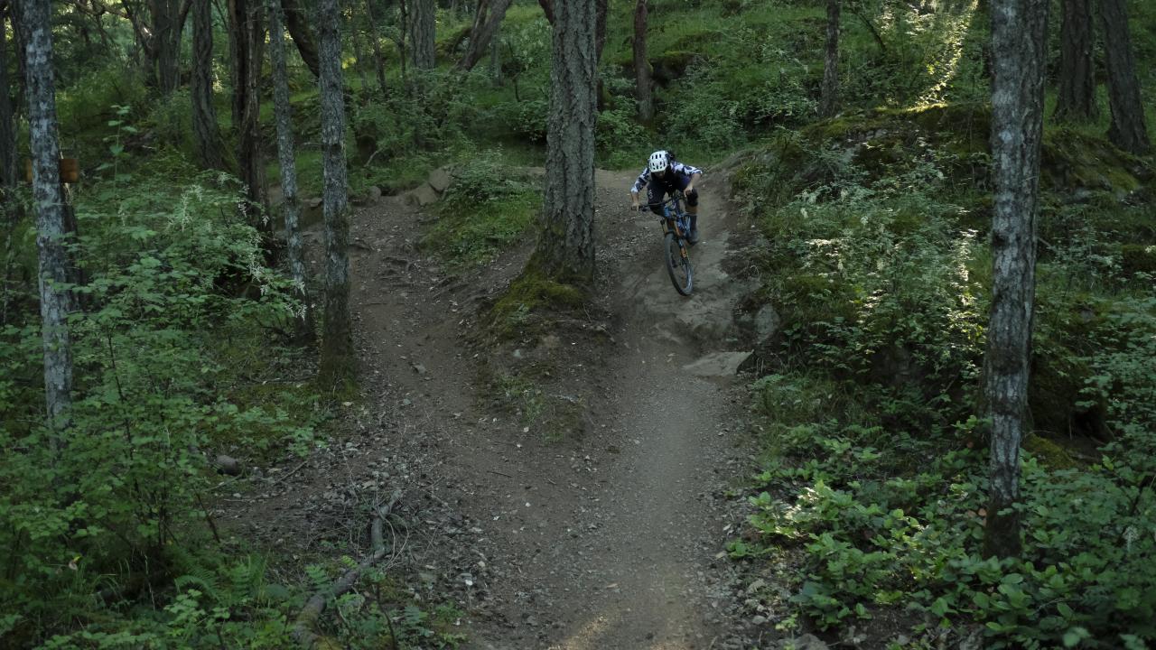 Intermediate Clinic | Jordie Lunn Bike Park | 4 Sessions | 6:00pm-8:00pm | Wednesdays in July and August