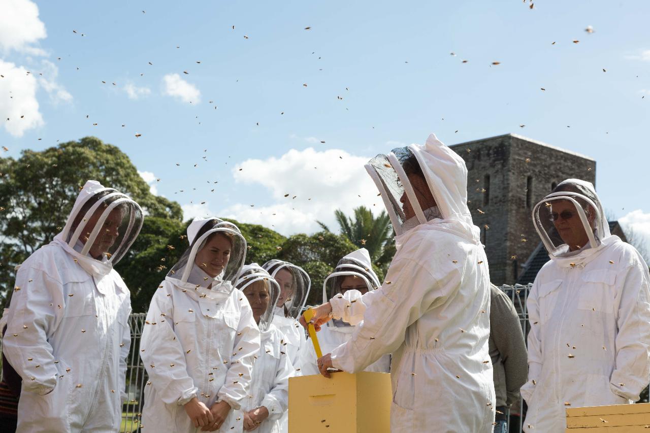 Beginners Beekeeping Workshop
