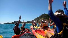 Kayaking with Whales and Dolphins