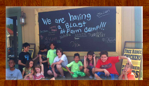 Farm Camp (Ages 4+) | Session 1 (June 5 - 7)
