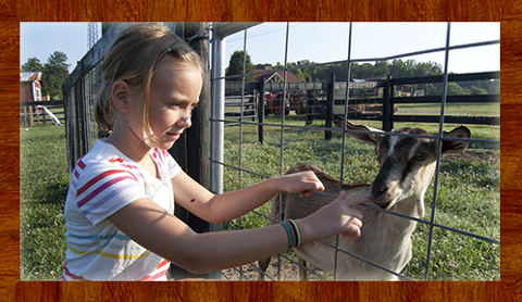 Farm Camp (Ages 4+) | Session 2 (June 19-21)