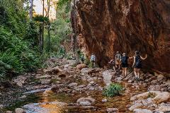 El Questro Gorge & Zebedee Springs Tour - Departing from The Station