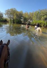 Big Sky Horses - One Hour Ride 