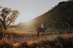 Big Sky Horses - Close of Day Ride