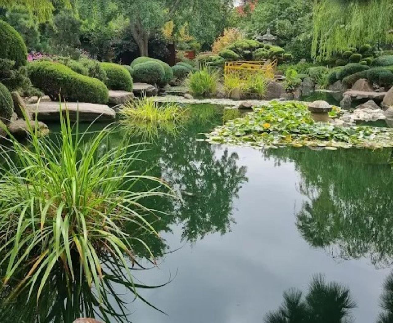Explore the City of Adelaide Your Way