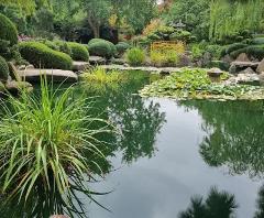 Explore the City of Adelaide Your Way