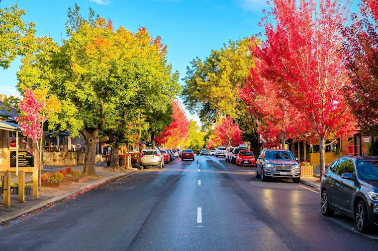 Adelaide Hills Day Tour ... perfect for when you have limited time