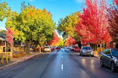 Adelaide Hills Day Tour ... perfect for when you have limited time