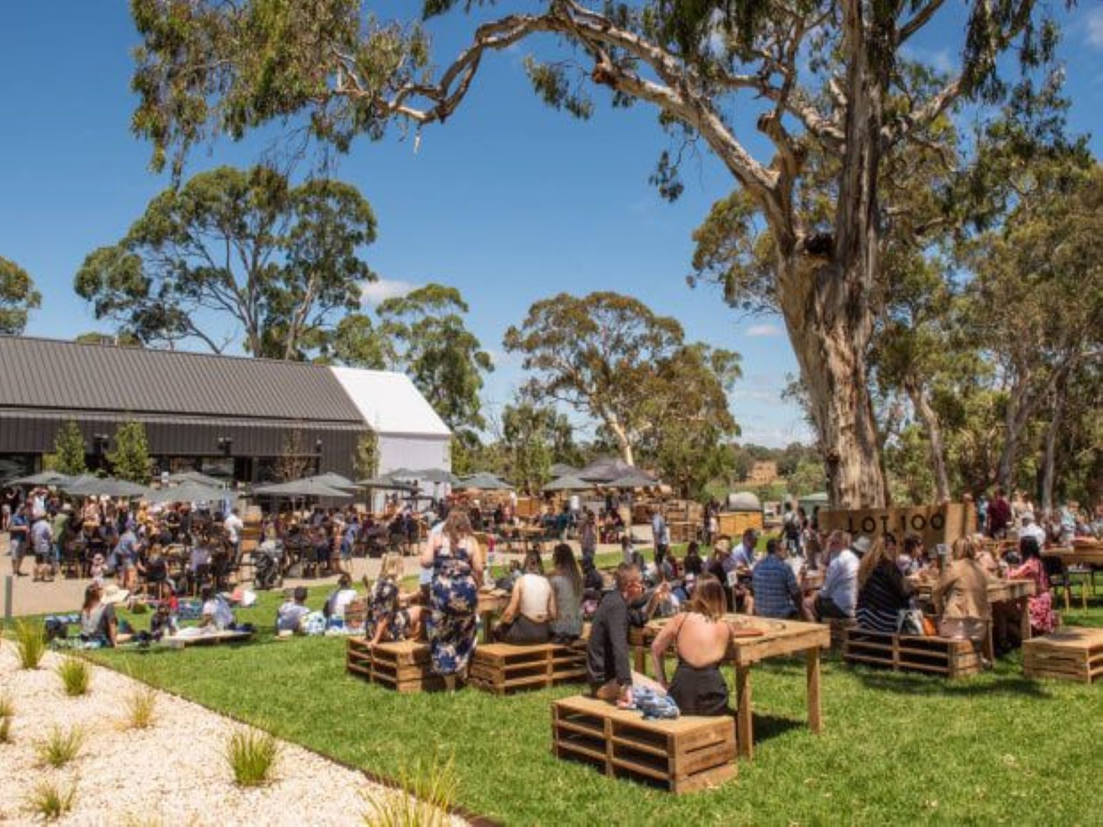 Adelaide Hills 6-hour Gin Tour