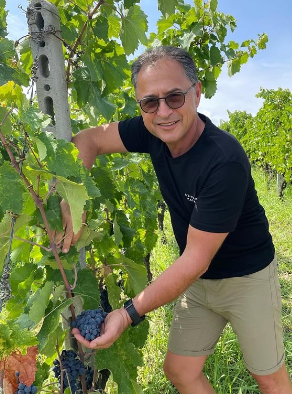 Prestige Pour & Gourmet Tour in the Barossa Valley
