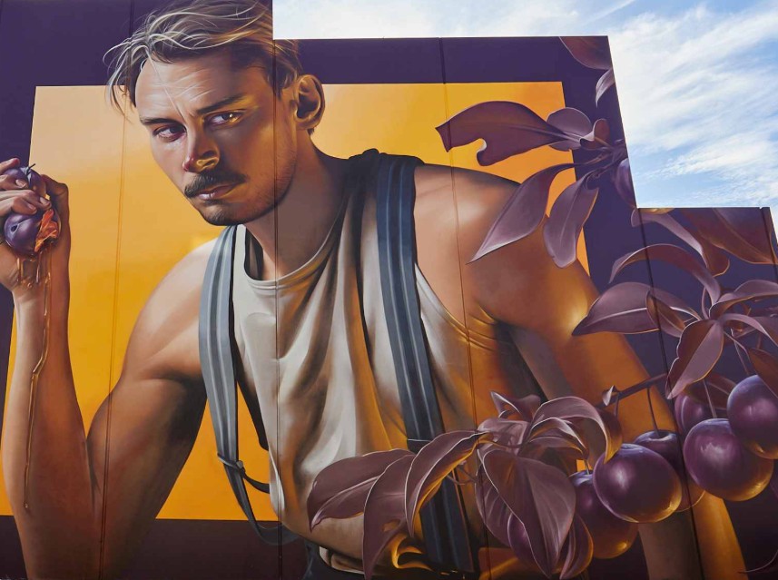 Port Adelaide Street Art tour with lunch and a pint