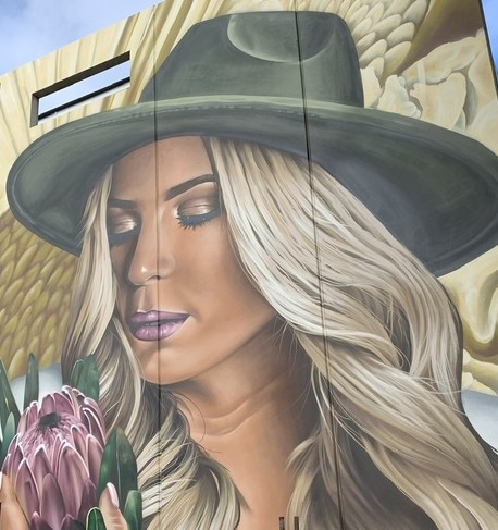 Port Adelaide Street Art tour with lunch and a pint