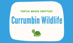 Currumbin Wildlife Sanctuary 