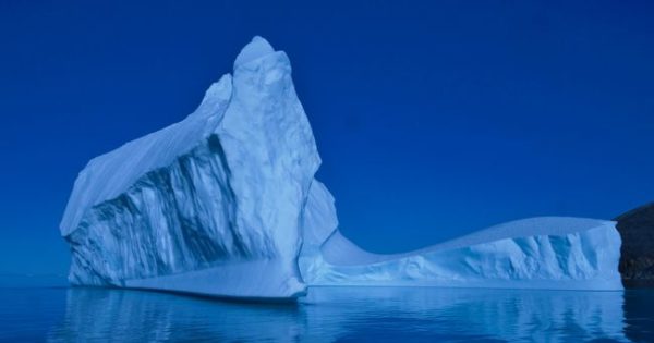 Iceberg Alley Experience - Zodiac Tour
