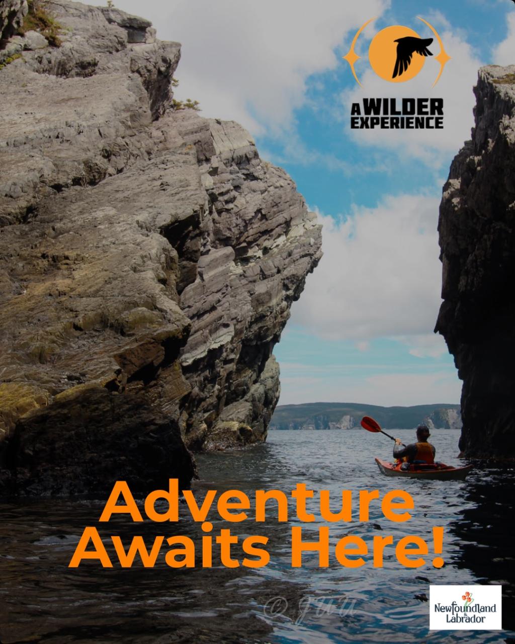 Half-Day Kayaking Gift Card