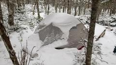 Registration A Wilder Experience